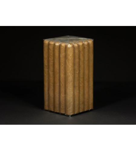 Salomon BP Habano